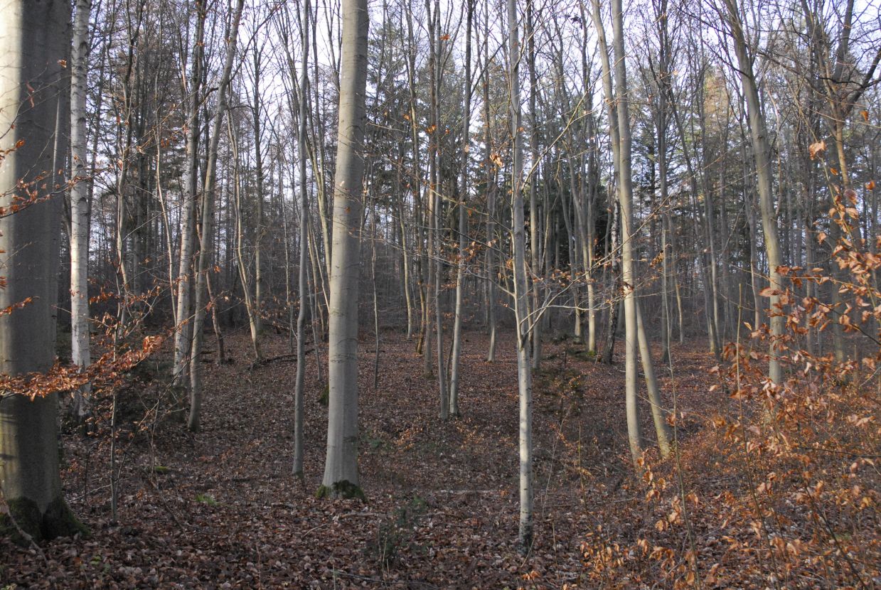 Informationstafel Die Kalkhorst