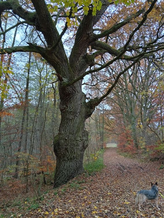 Eingang Prälank, Müritz Nationalpark