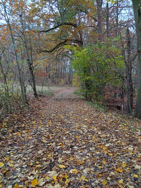 Eingang Prälank, Müritz Nationalpark