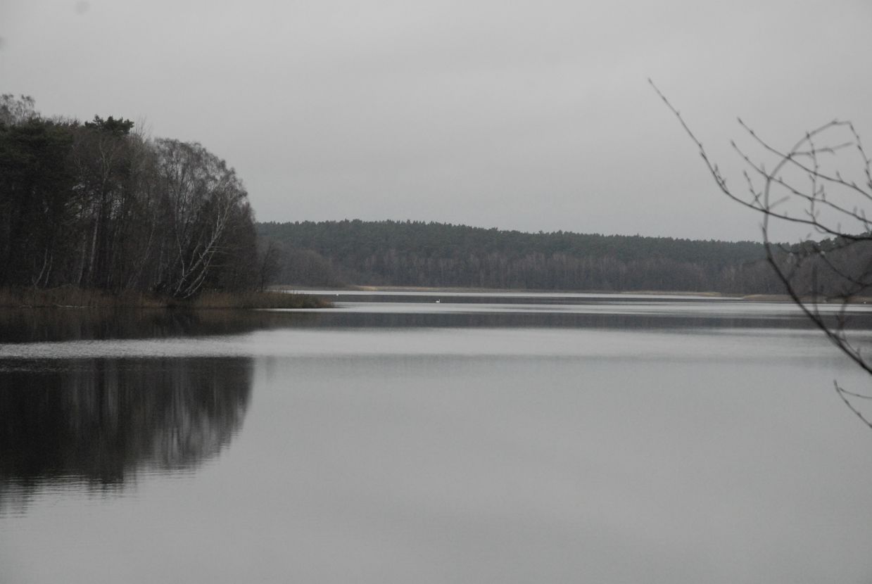 Großer Fürstenseer See